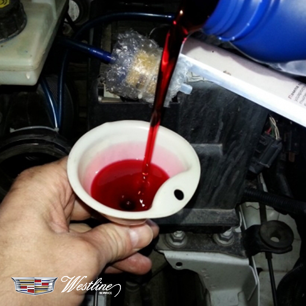 81a04a295484a3a1b8a2a5aad37f9fc3-63347ee35a6e7