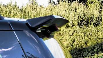 a301ef595d36d49ad332f333aaa4ee33